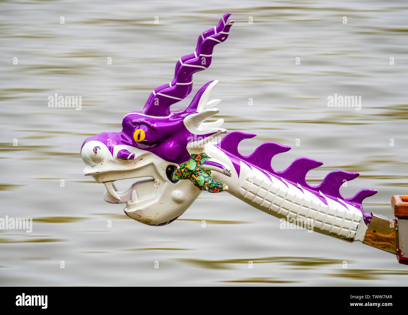 Decorate polena di dragon boat sul Bristol Floating Harbour dove squadre amatoriali di rematori di gara per raccogliere fondi per beneficenza Bristol REGNO UNITO Foto Stock