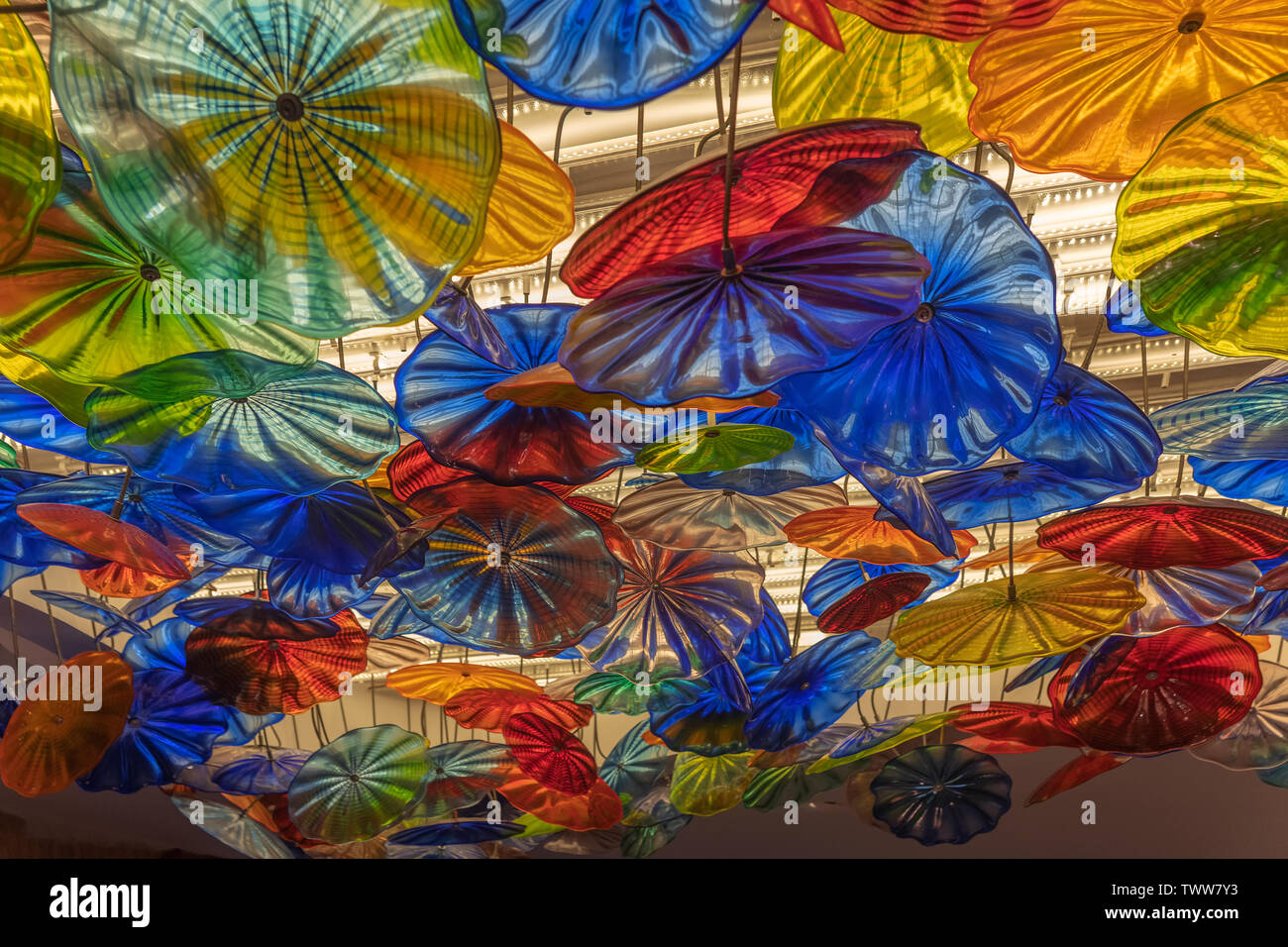 Regenschirm-Leuchten Foto Stock