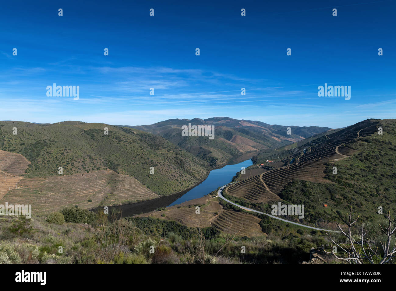 Vista del fiume Douro con vigneti terrazzati nei pressi del villaggio di Foz Coa, in Portogallo; concetto per il viaggio in Portogallo e in luoghi più belli in porto Foto Stock