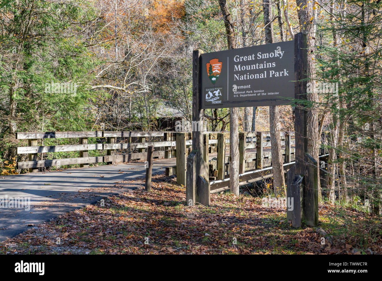 Caduta Nel Parco Nazionale Di Great Smoky Mountains Fotografia Stock Caduta Nel Parco Nazionale Di Great Smoky Mountains Image80170652 - Foto 12