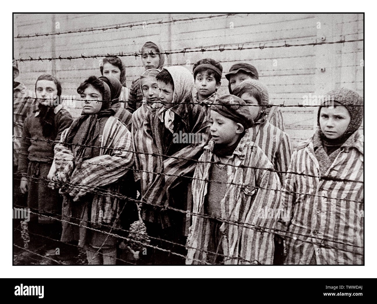AUSCHWITZ 1945 BAMBINI DETENUTI LIBERAZIONE BAMBINI carcerati indossando divise a strisce guardare fuori per loro liberatori da dietro un filo spinato nella famigerata WW2 nazista di morte-camp Auschwitz Polonia meridionale. La Seconda Guerra Mondiale la Seconda Guerra Mondiale Foto Stock
