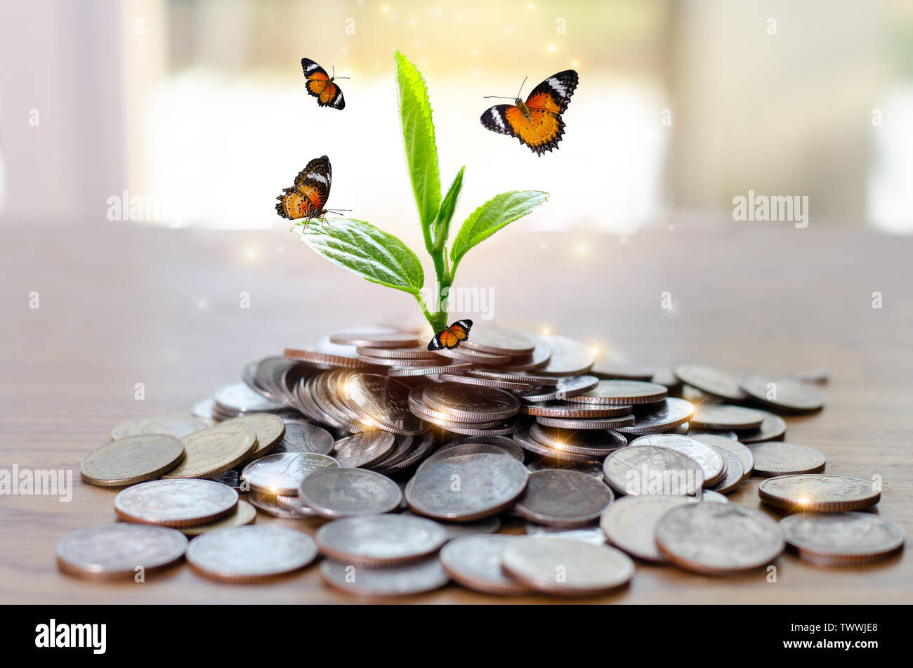 La crescita di denaro per un risparmio di denaro. Albero superiore monete al concetto illustrato ai cambiamenti di un business in espansione Foto Stock