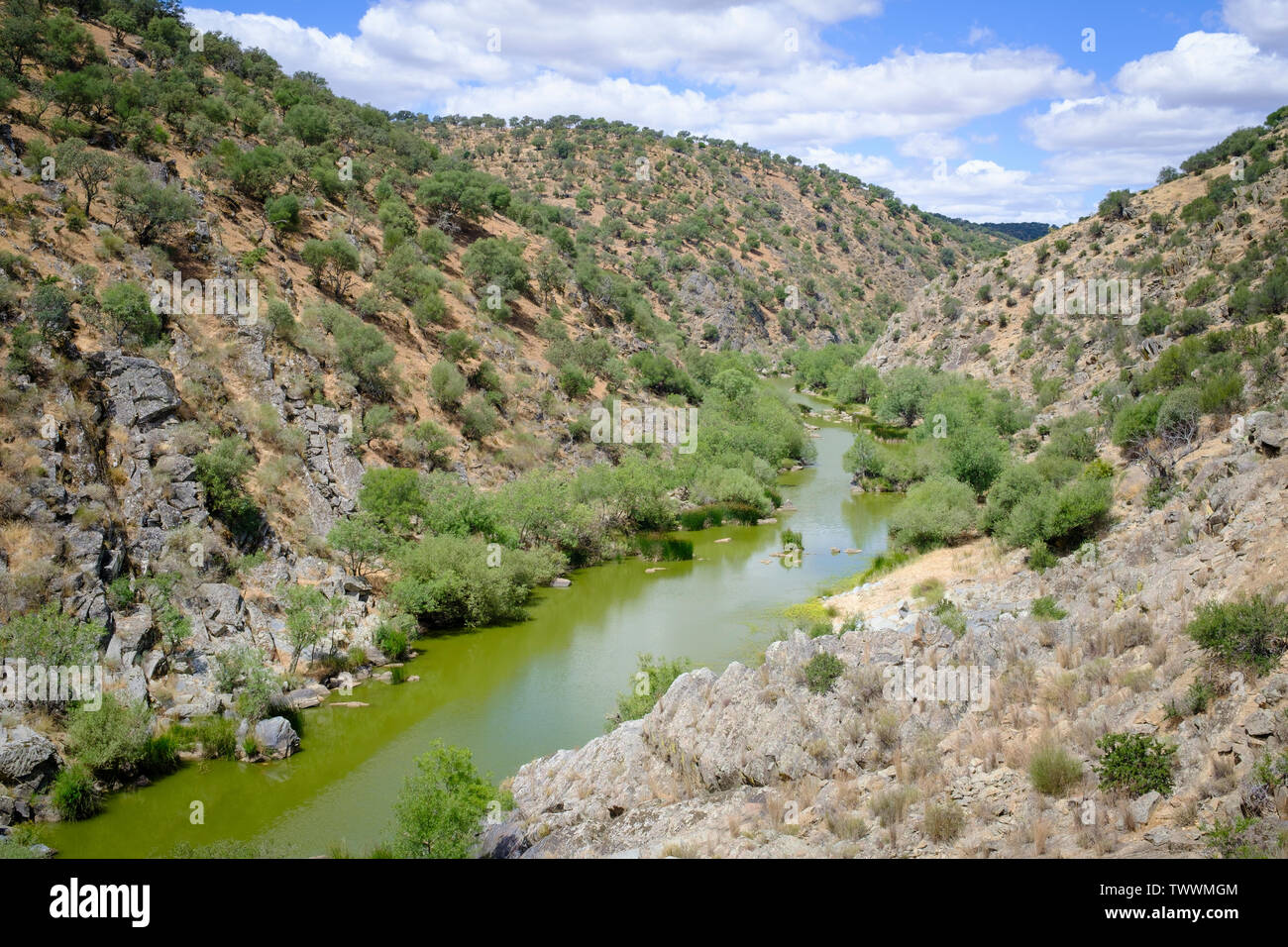 Salor fiume. Taejo Parco internazionale. Extremadura. Spagna. Foto Stock