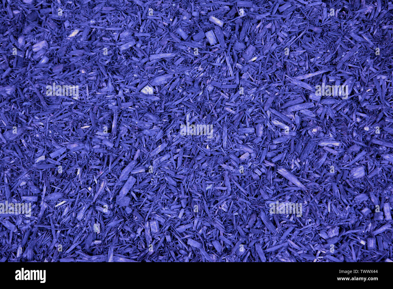 Natura astratta sullo sfondo di un chip blu Foto Stock