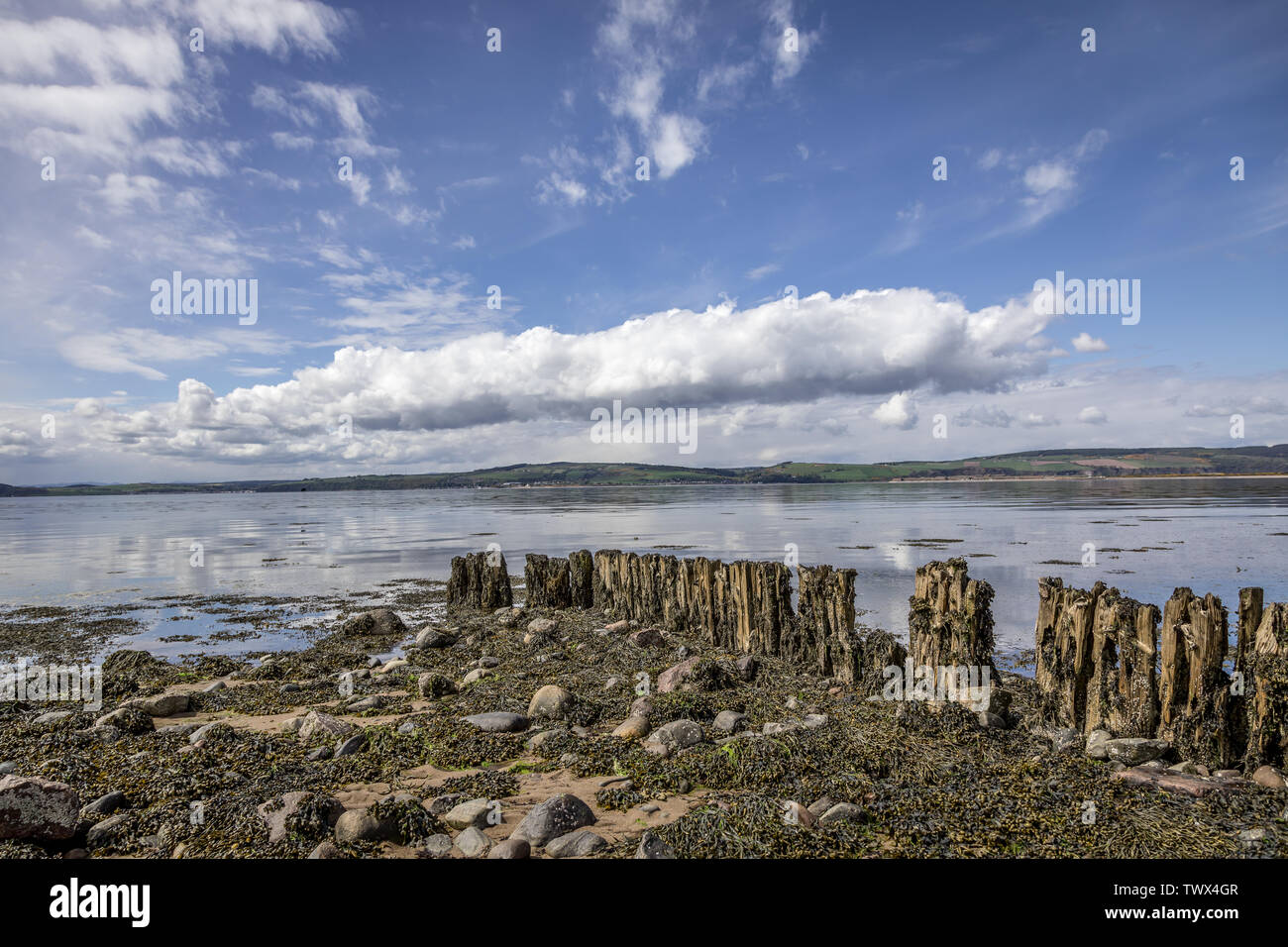 Struttura di frangionde sul Moray Firth, Ardersier, Highlands, Scotland, Regno Unito Foto Stock