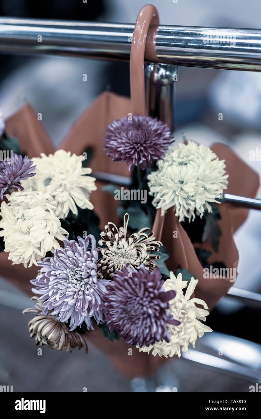 Ombrello con un fresco e violetta, fiori viola. Autunno decor, pittoresco  dei colori della natura, vintage sfondo, umore stagionali concept Foto  stock - Alamy