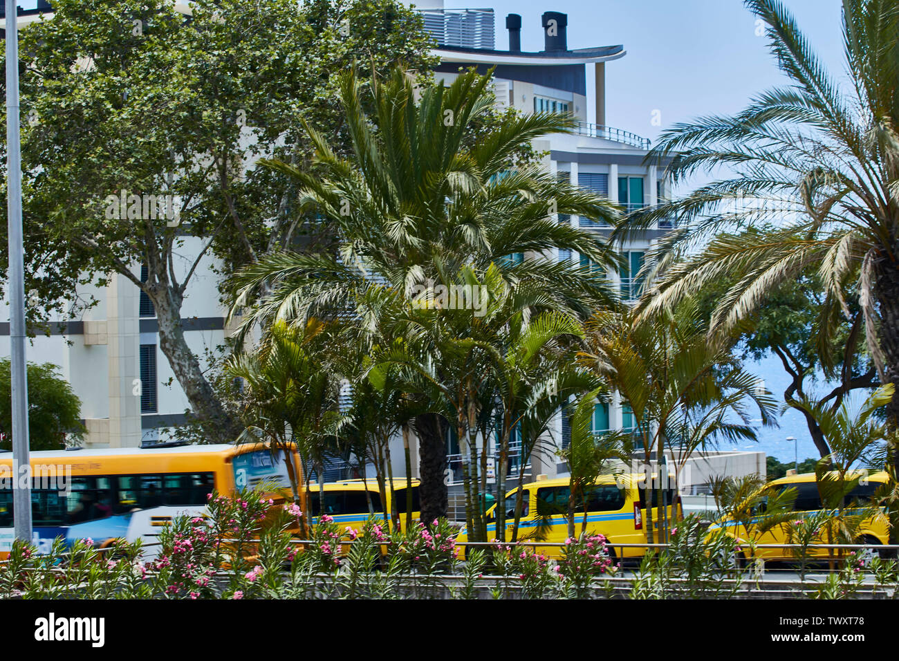 Giallo taxi nel sole tropicale di Funchal, Madeira, Portogallo, Europa Foto Stock