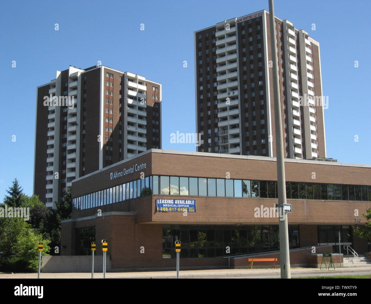 datazione allenatore Hamilton Ontario