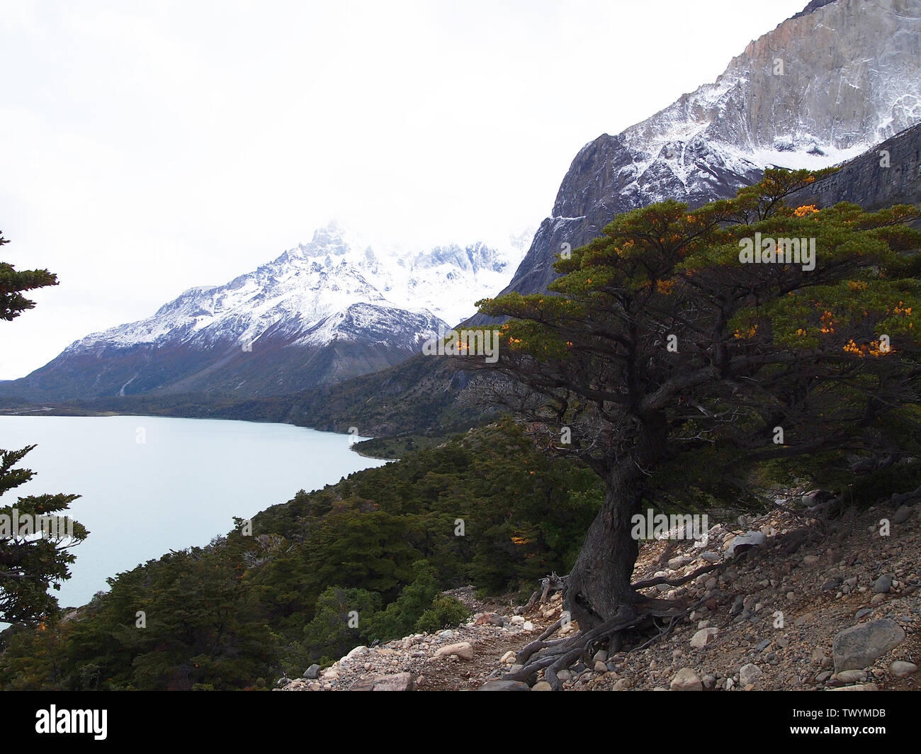 Incontaminato habitat di montagna nel Parco Nazionale di Torres del Paine Patagonia Cilena Foto Stock