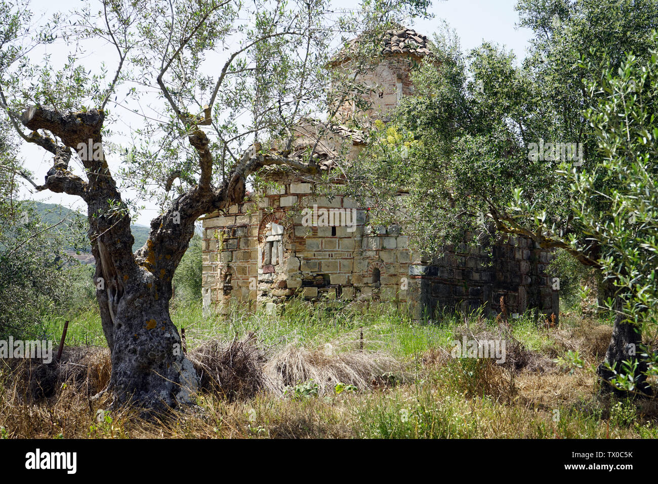 Vecchia chiesa greco ortodossa in Oliveto Foto Stock