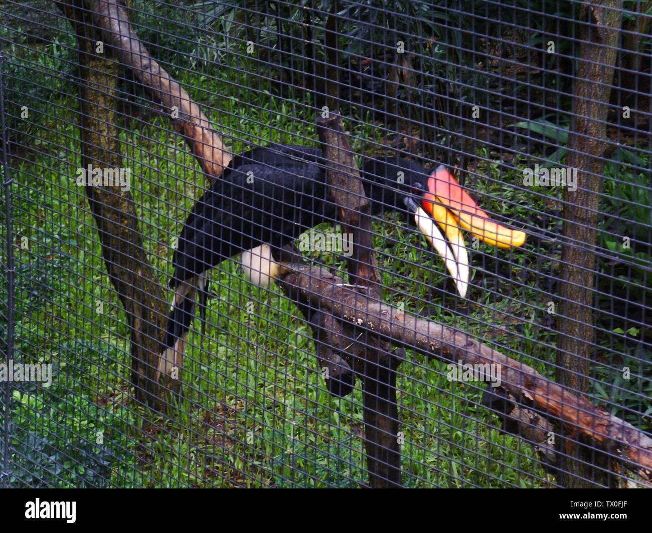 C µeªz E A Cs E I œa ºa E A Aœ A I œc Ae A A E E Aœ E C Aeˆae A Cs C A I 2007a 14 Giugno Secondo I Dati Exif Lavoro Personale