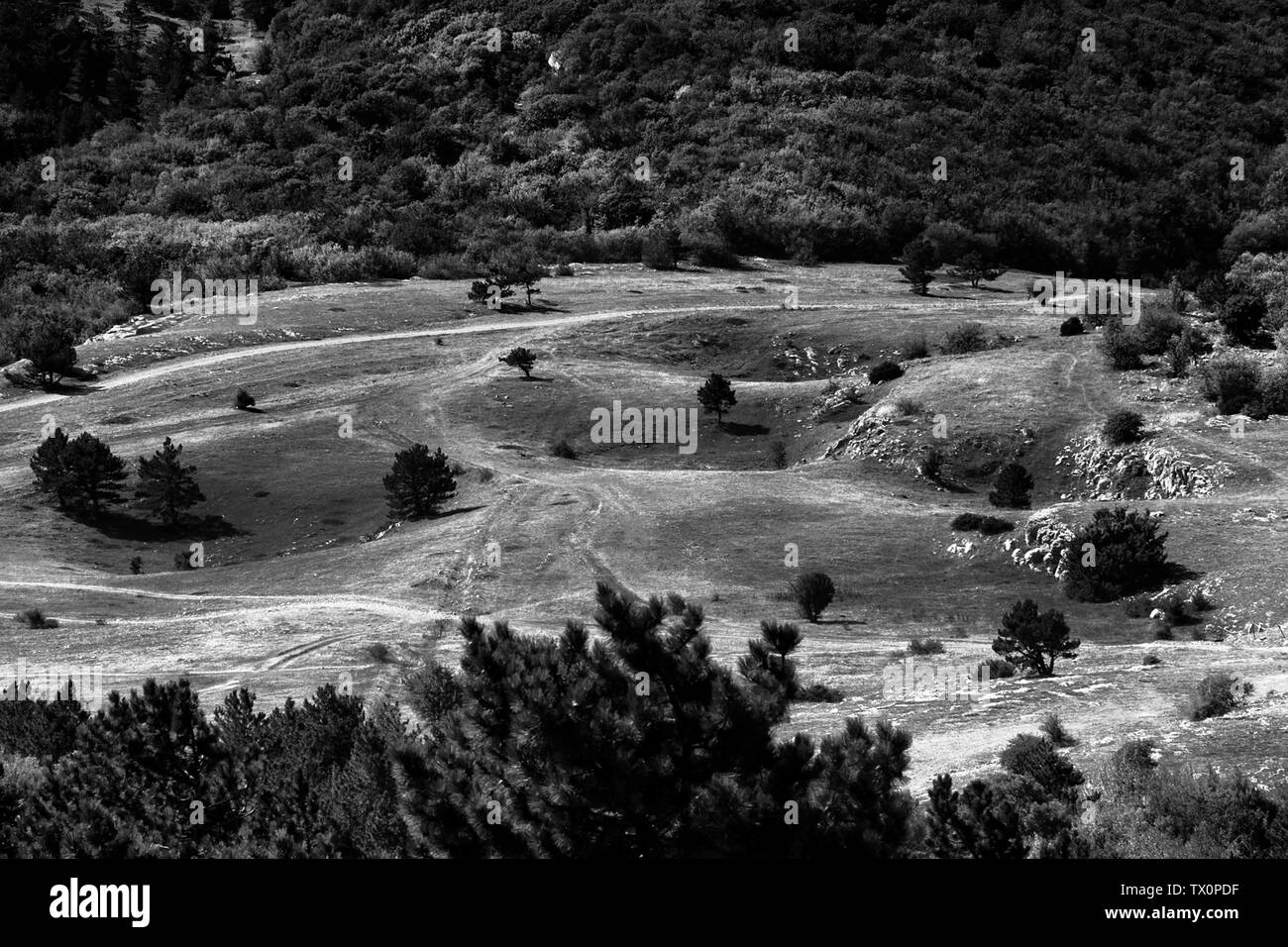 Valle di montagna con crateri, percorsi, circondata da una foresta. bw Foto Stock