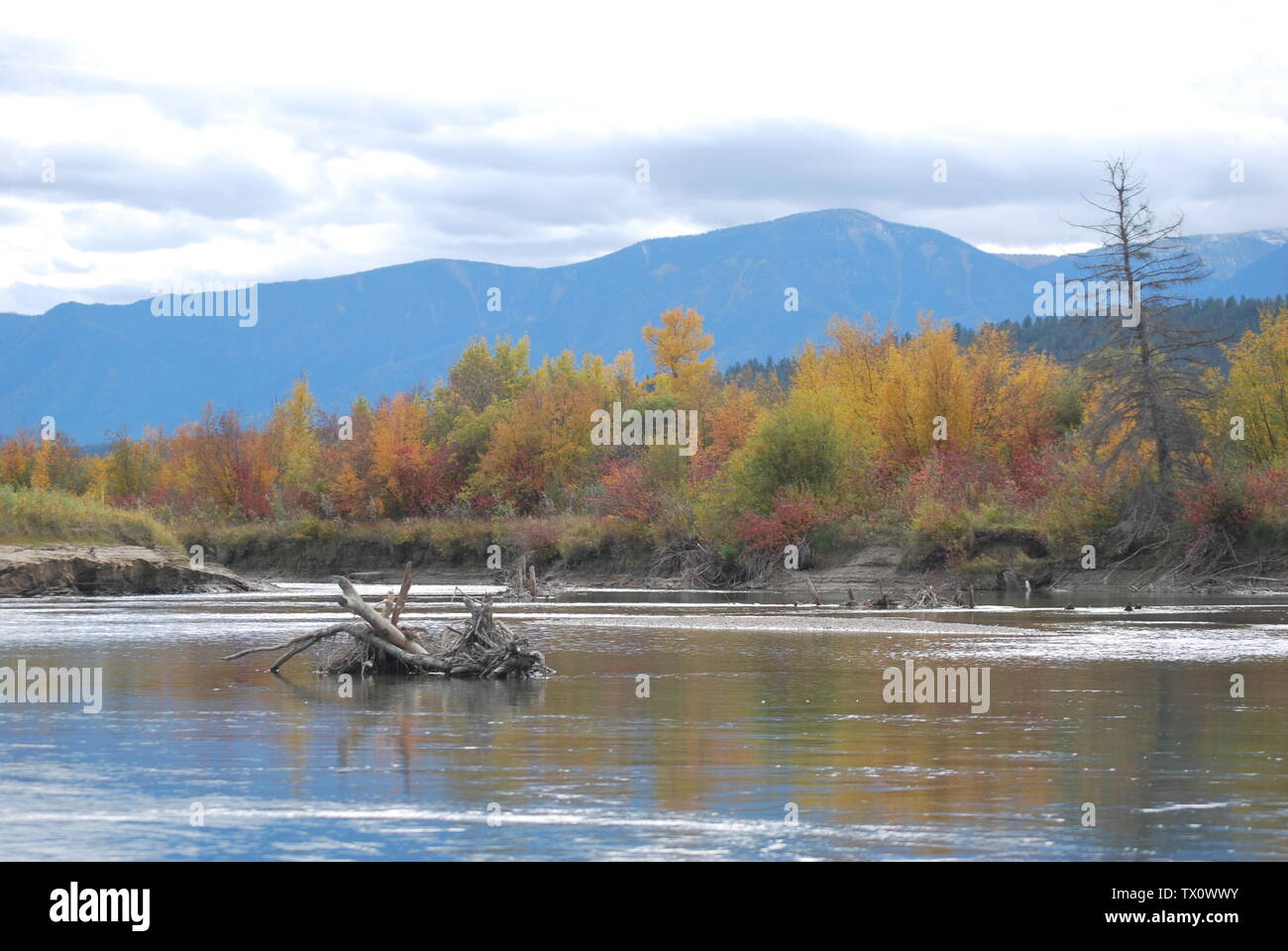 Colori dell autunno che rispecchia il flusso delicato di Columbia River, BC, Canada Foto Stock