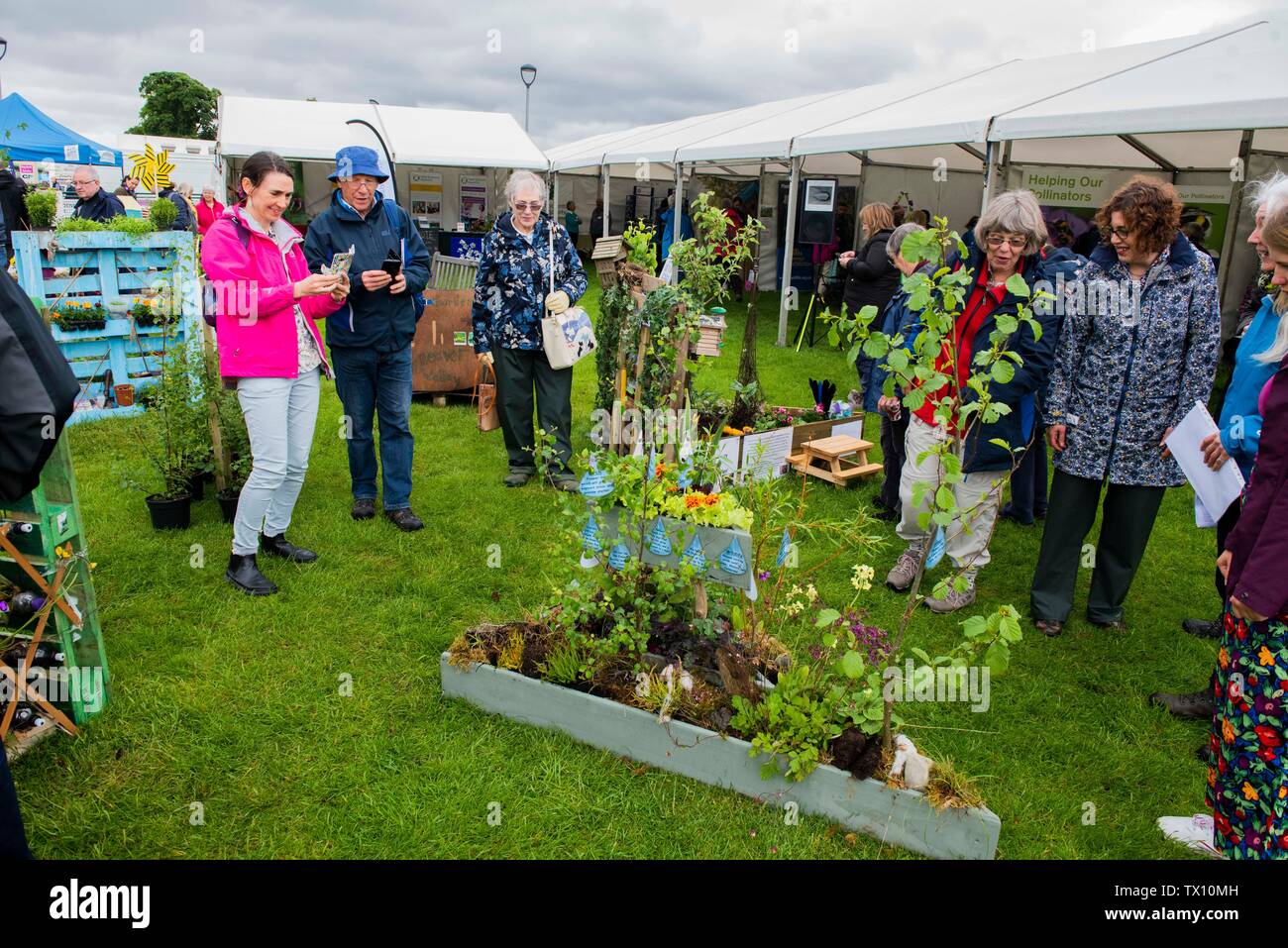 Gardening Scotland evento a Edimburgo in Scozia foto Copyright Chris Watt Tel - 07887 554 193 info@chriswatt.com www.chriswatt.com Foto Stock