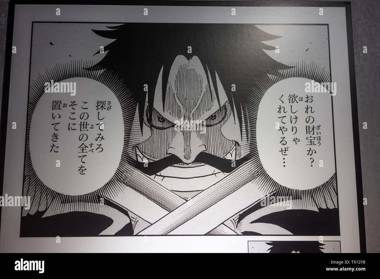 Re del mare ladro manoscritto Foto Stock