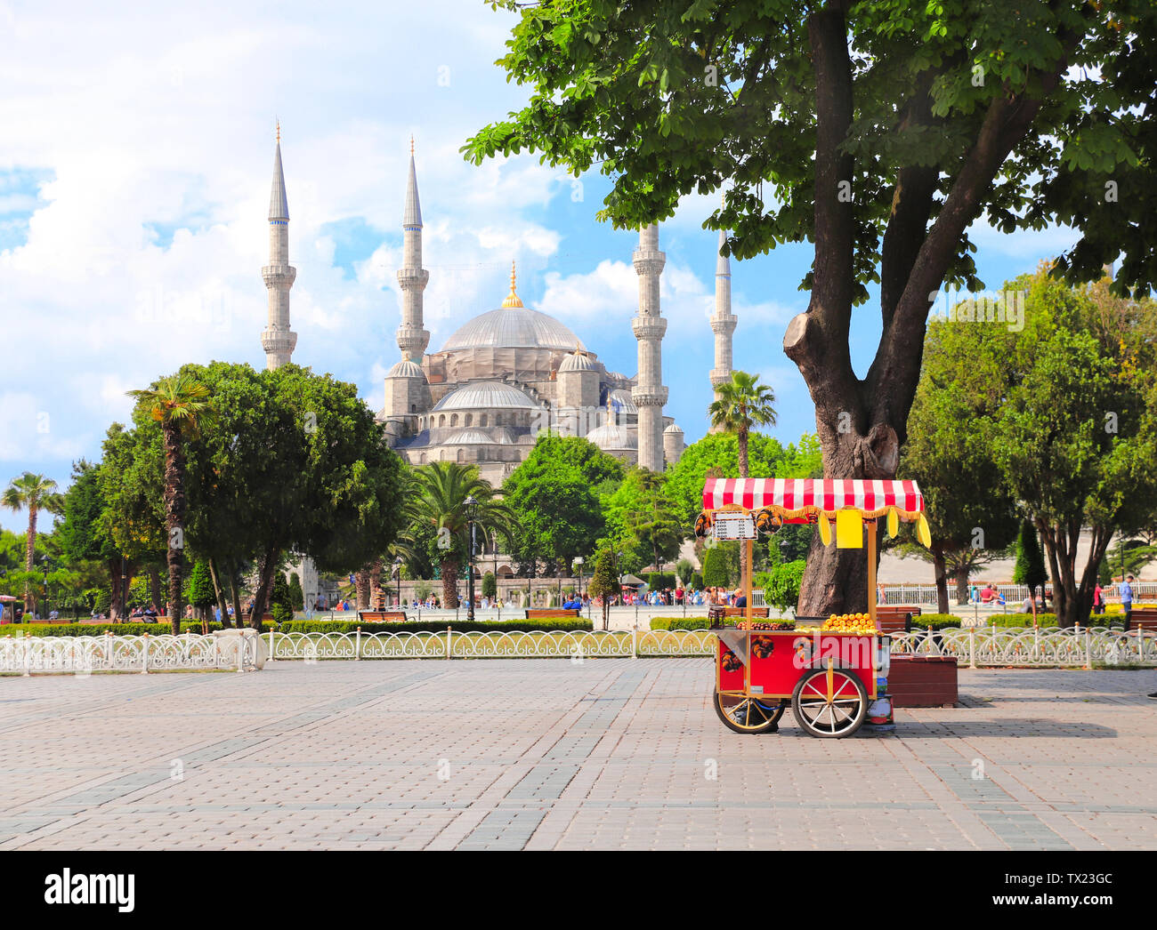 La moschea blu (Sultan Ahmet mosque) e tradizionale turca di castagno e carrello di mais, Piazza Sultanahmet, Istanbul, Turchia Foto Stock