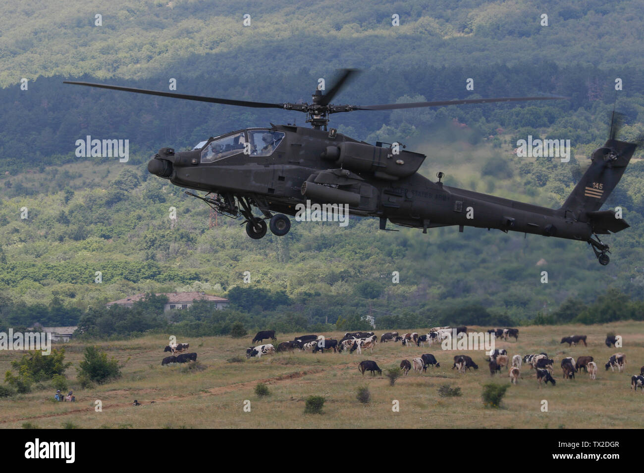 Un U.S. Esercito AH-64 Apache vola overhead durante un combinato di armi fuoco vivo palestra a sostegno della risposta rapida 19 in Novo Selo Area Formazione, Bulgaria, 22 giugno 2019. Risposta rapida 19 è un U.S. Europa esercito multinazionale led di esercizio da parte del governo degli STATI UNITI Global Response Force per dimostrare la capacità di distribuzione di alta disponibilità di forze in un'area designata, così come anticipo airborne interoperabilità tra gli alleati della NATO. (U.S. Esercito foto di Spc. Justin W. Stafford) Foto Stock