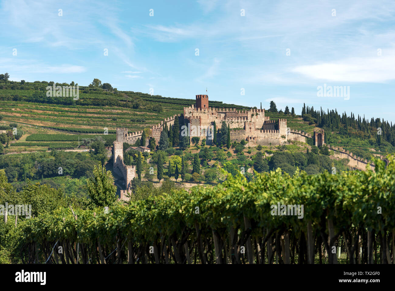 La Scala in Famiglia (castello Scaligero) della piccola cittadina di Soave, del X secolo, Veneto, Verona, Italia, Europa Foto Stock