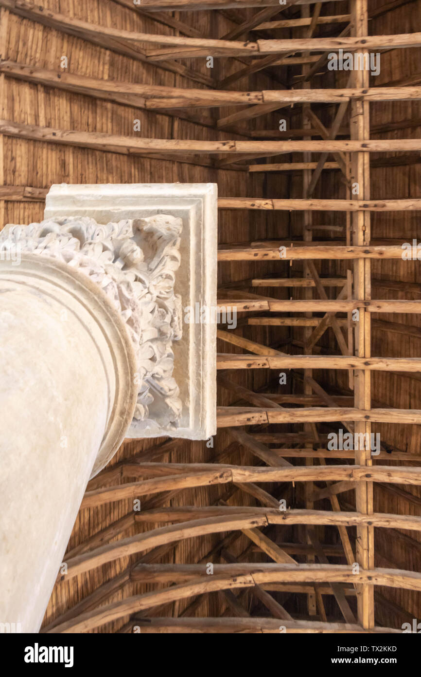 Notre Dame de Paris fire: cornice gotica e colone Foto Stock