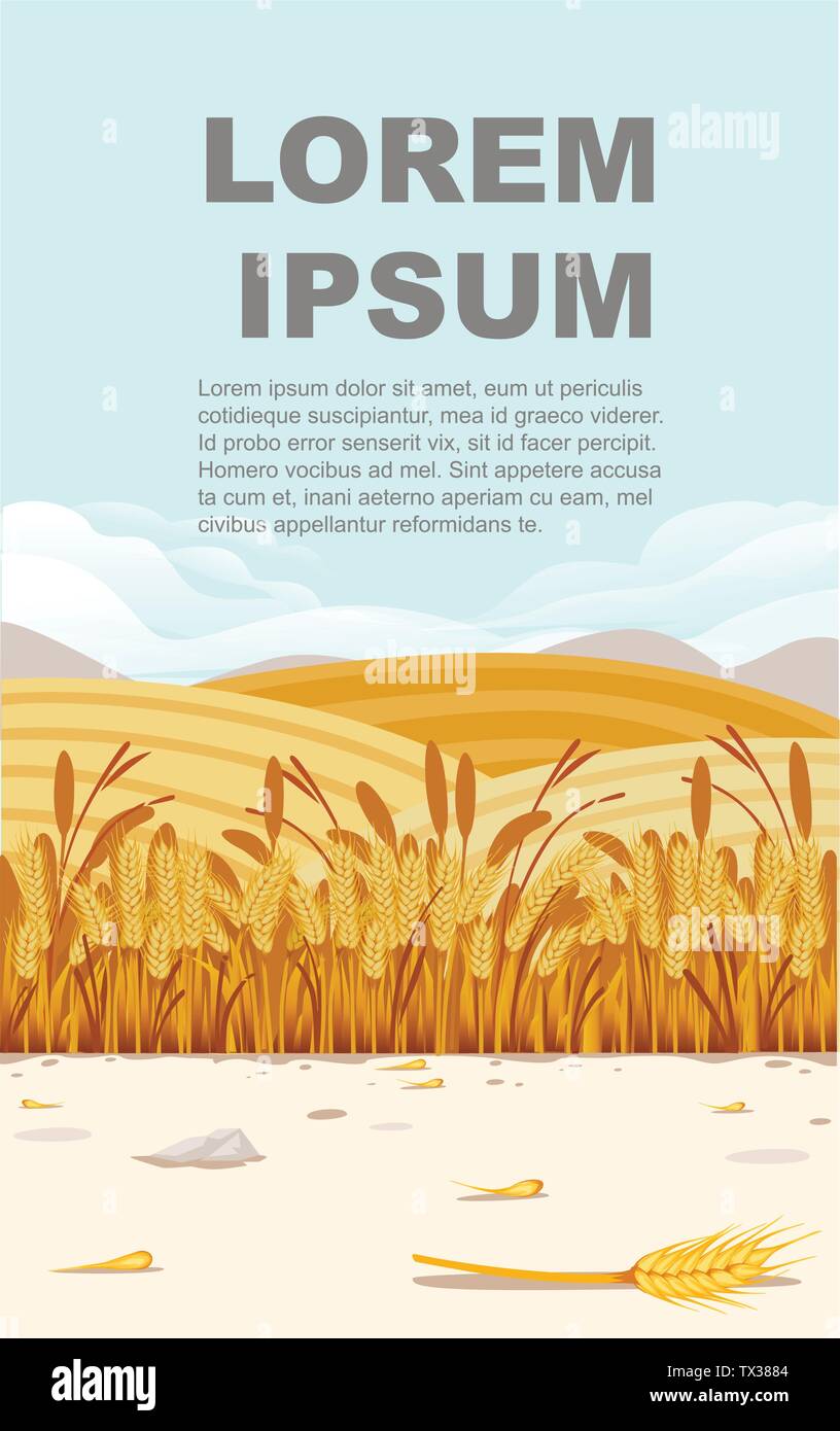 Campo di grano illustrazione con il paesaggio rurale e buona giornata di sole su sfondo banner verticale design con posto per il testo Illustrazione Vettoriale