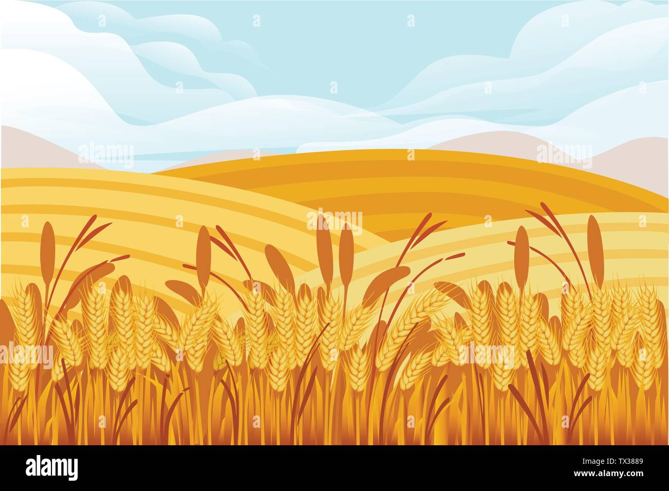 Campo di grano illustrazione con il paesaggio rurale e buona giornata di sole su sfondo banner orizzontale design Illustrazione Vettoriale