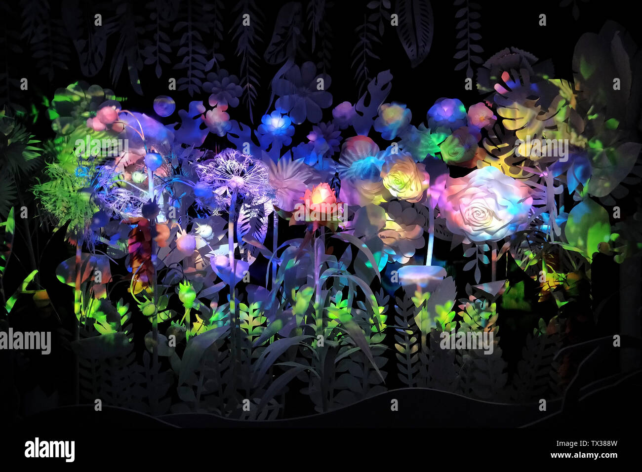 Fiori artificiali di vari colori che emettono luci sognanti. Foto Stock