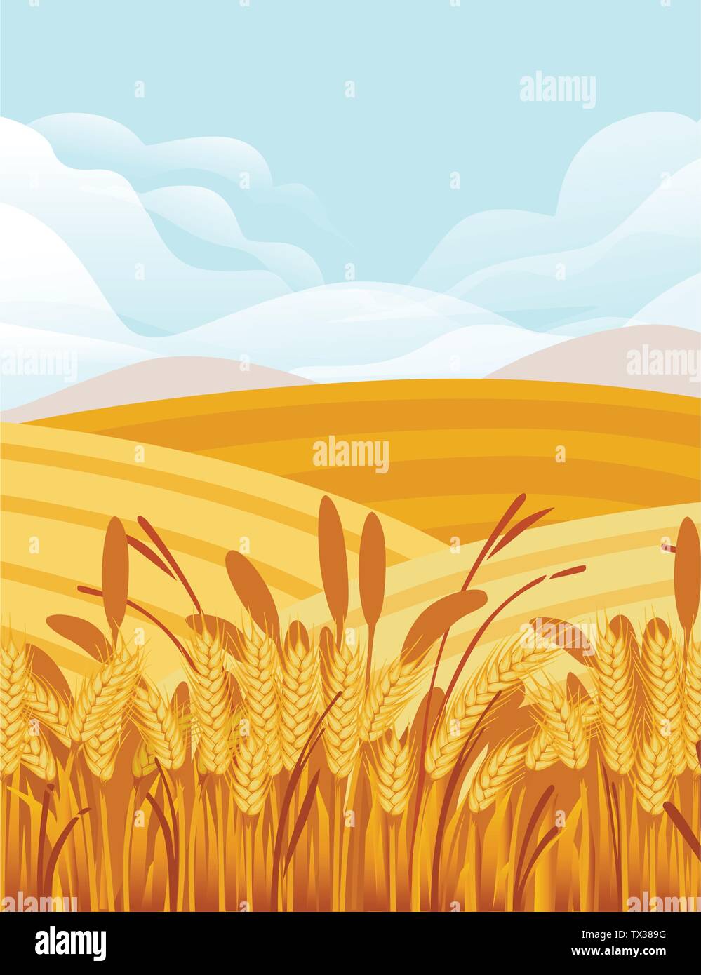 Campo di grano illustrazione con il paesaggio rurale e buona giornata di sole su sfondo banner verticale design Illustrazione Vettoriale