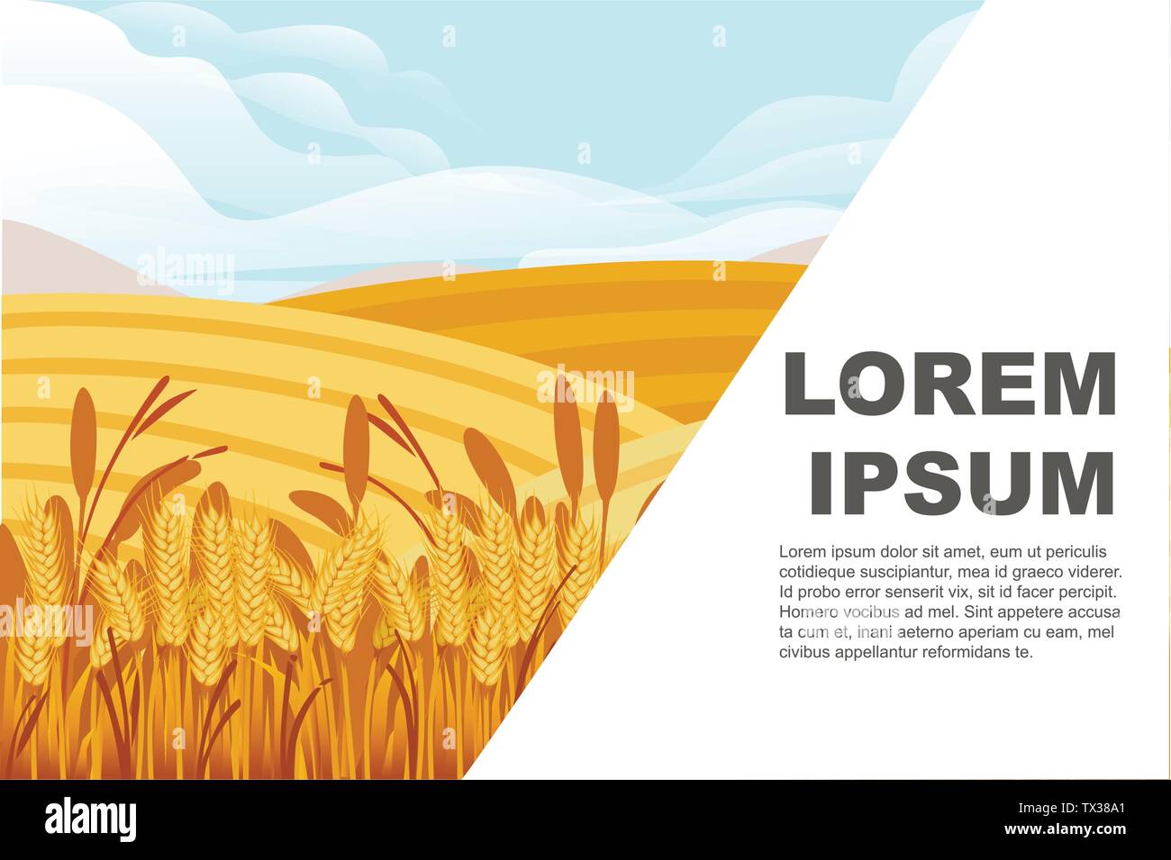 Campo di grano illustrazione con il paesaggio rurale e buona giornata di sole su sfondo banner orizzontale design con posto per il testo Illustrazione Vettoriale