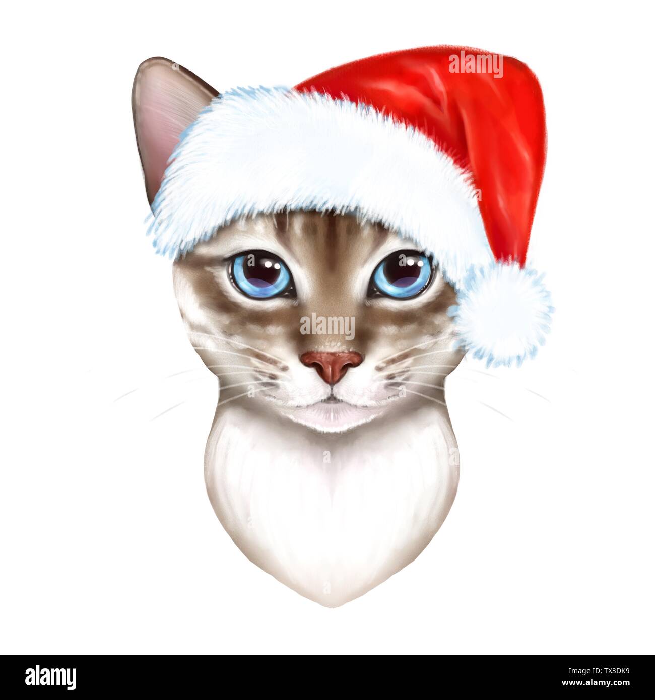 Gatto in un cappello di Natale Foto stock - Alamy
