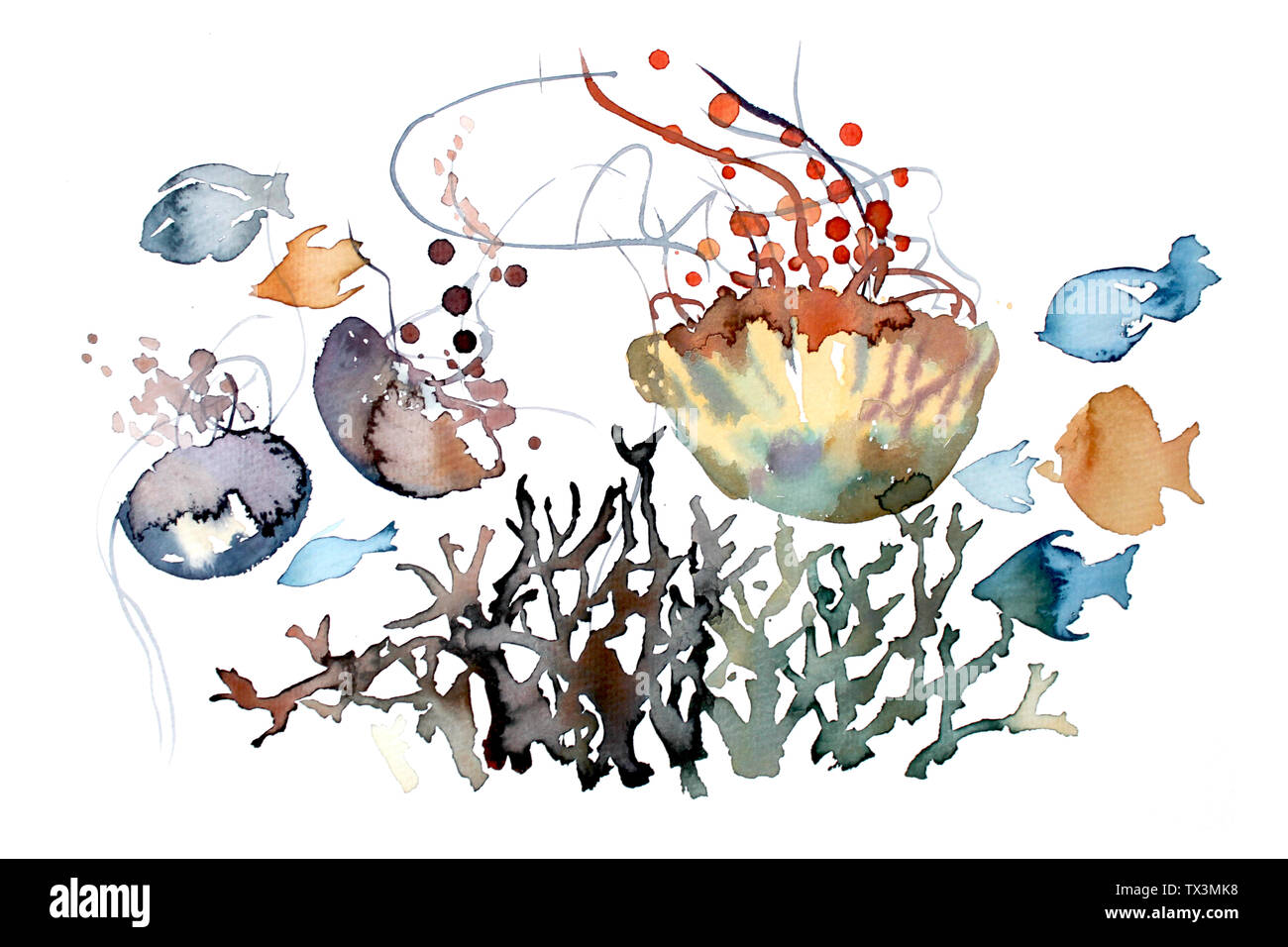 Acqua di mare Meduse pesce animale marino tropicale naturale lo sfondo dell'Illustrazione illustrazione design Cinese pittura acquerello disegnata a mano Foto Stock