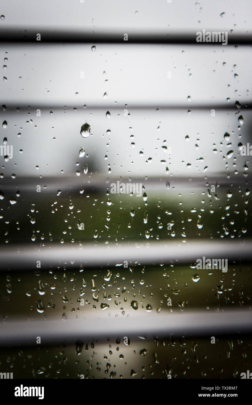 Gocce di pioggia su un vetro di finestra visto attraverso le persiane. Foto Stock