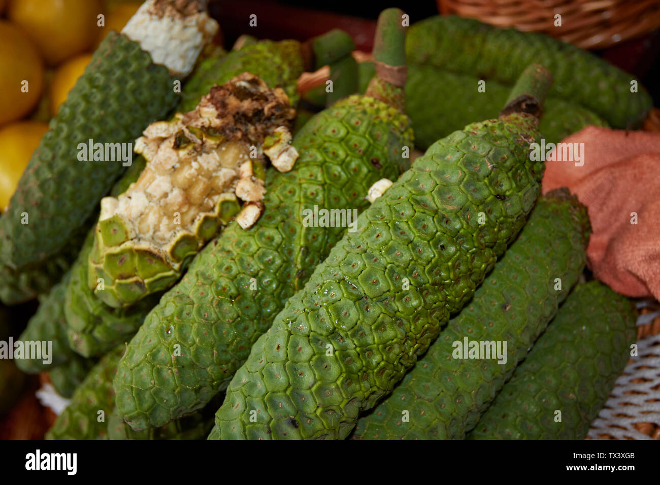 Monstera deliciosa - Philodendron frutto nel Mercado dos Lavradores,  mercato di agricoltori, Funchal, Madeira, Portogallo, Unione Europea Foto  stock - Alamy