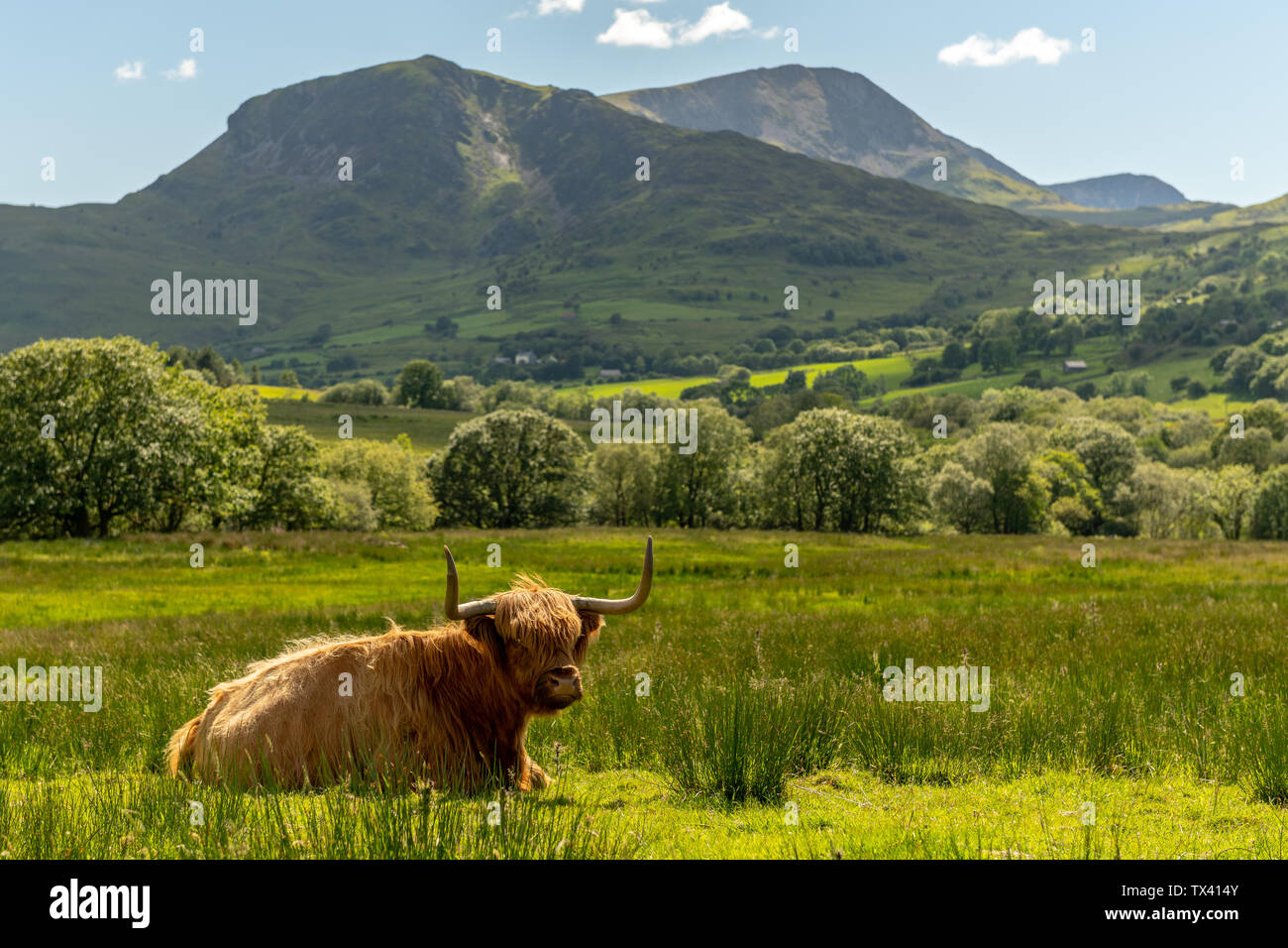 Cadair Idris Foto Stock