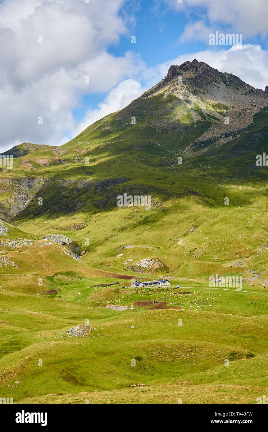 Bestiame in pascoli di alta montagna e cottage in Cirque d'Anéou con il Col de Peyreget picco (Col du Pourtalet, Portalet, Laruns, Pirenei, Francia) Foto Stock