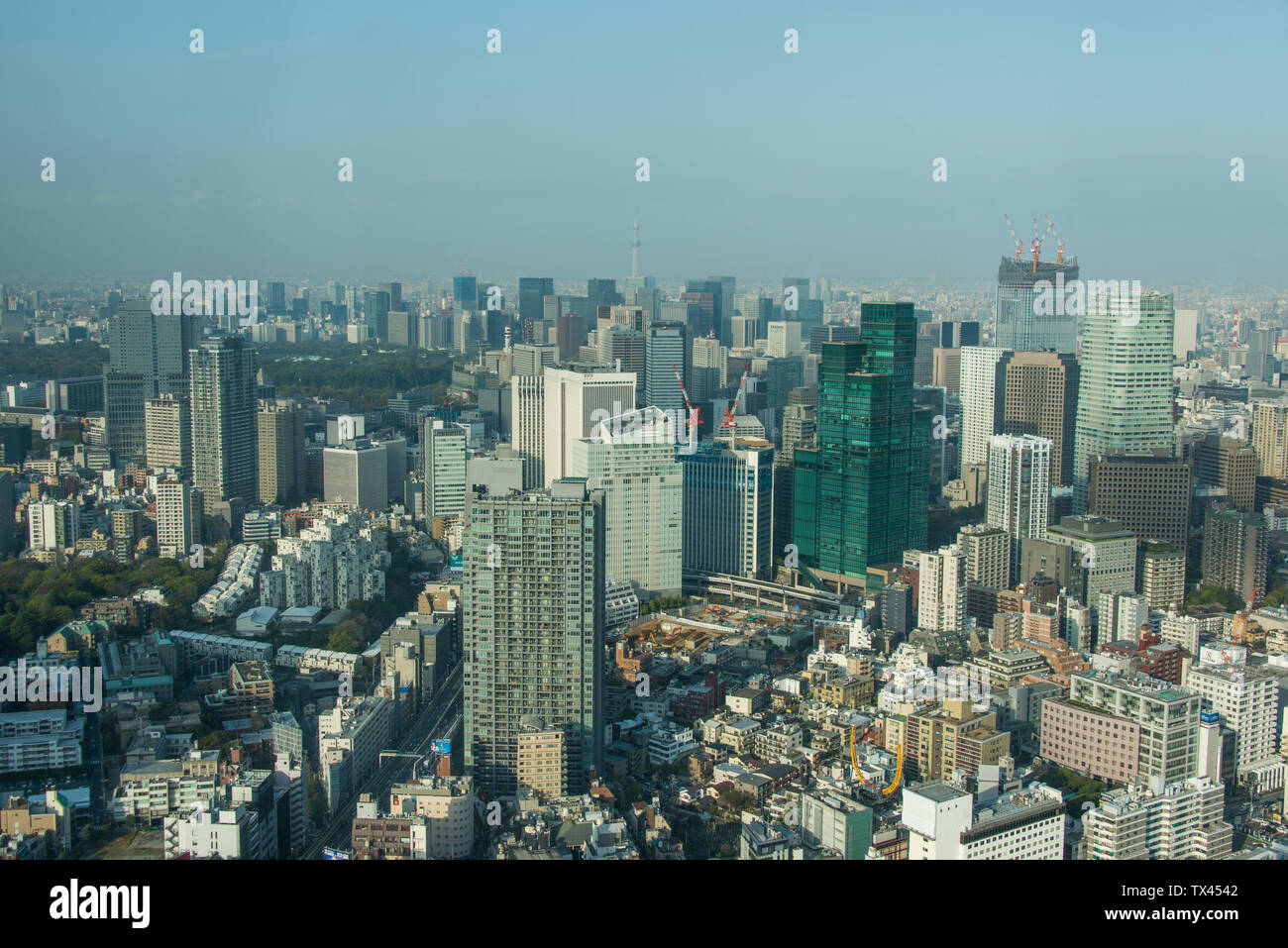 Giappone, Tokyo cityscape visto da Roppongi Hills Foto Stock