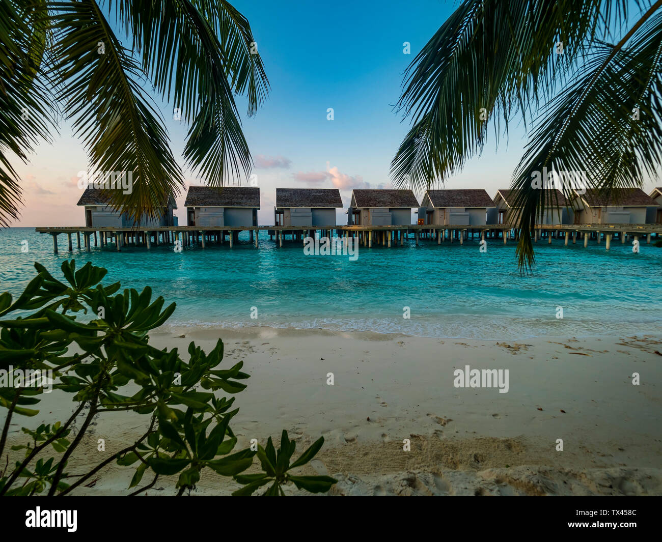 Maledives, Ross Atoll, acqua bungalow sulla spiaggia la sera Foto Stock