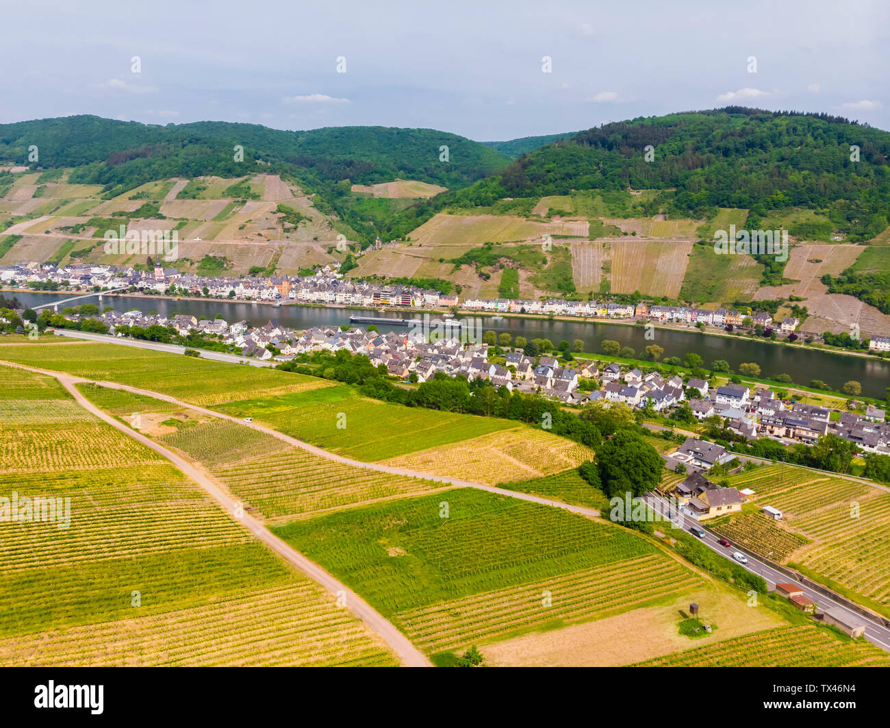 In Germania, in Renania Palatinato, Zell an der Mosel, vigneti Foto Stock