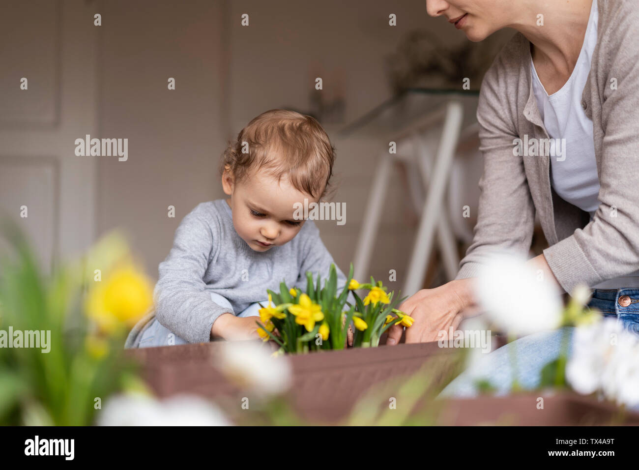 Madre e figlia piantare fiori insieme a casa Foto Stock