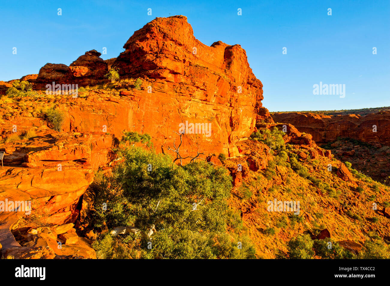 Kings Canyon, Watarrka National Park, il Territorio del Nord, l'Australia Foto Stock