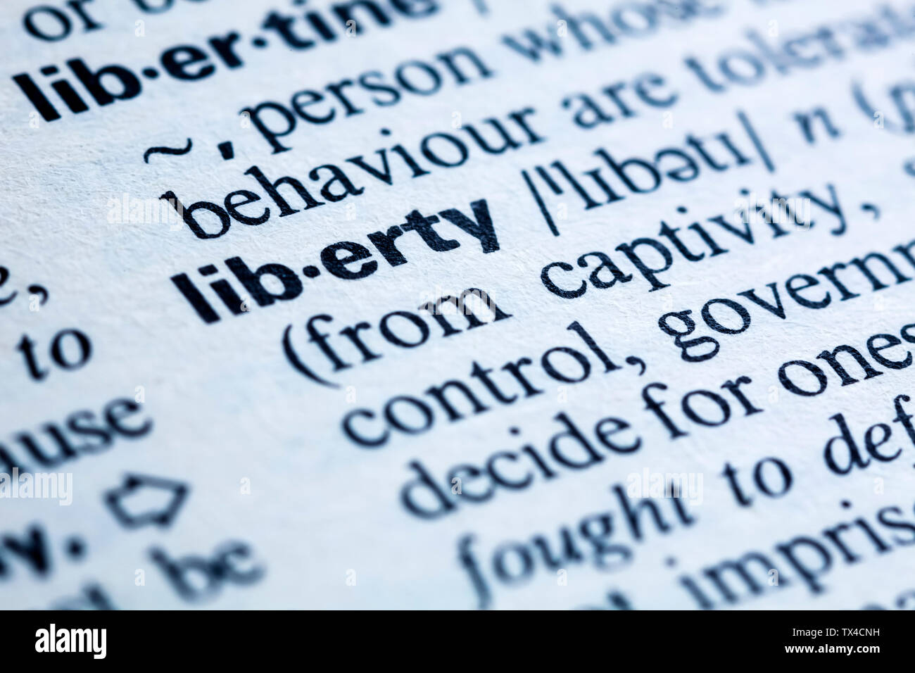 La parola chiave in un dizionario, liberty Foto Stock