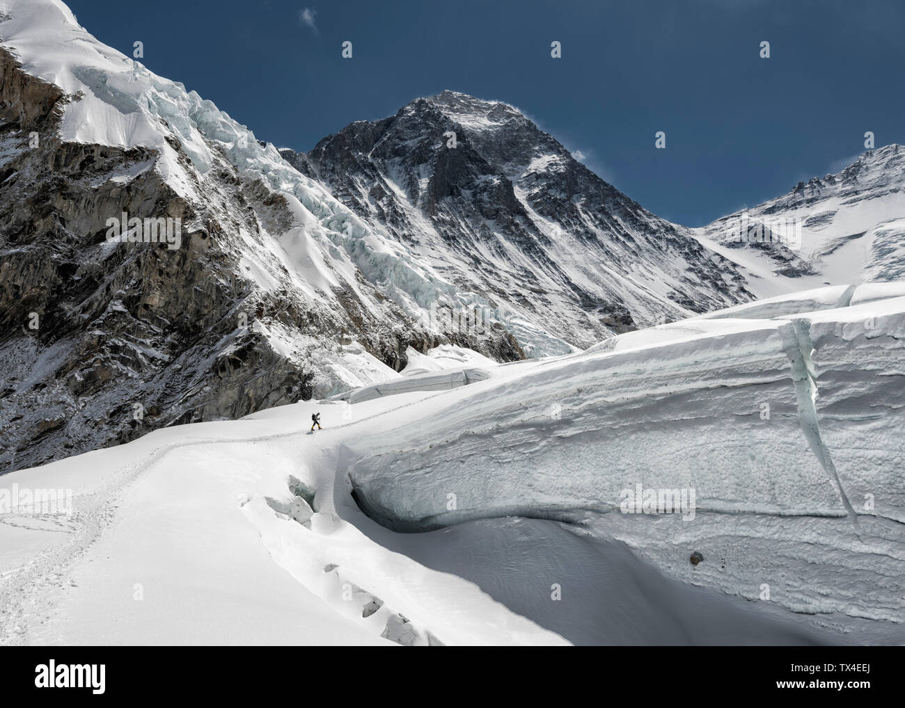Il Nepal, Solo Khumbu, Everest, alpinista presso la Western Cwm Foto Stock