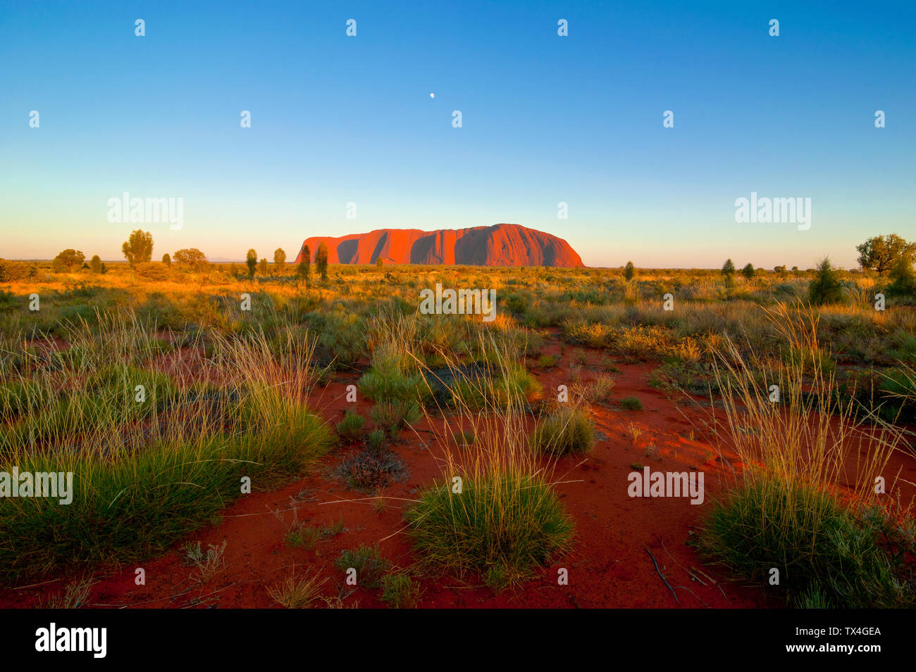 Uluru Ayers Rock, Territorio del Nord, l'Australia Foto Stock