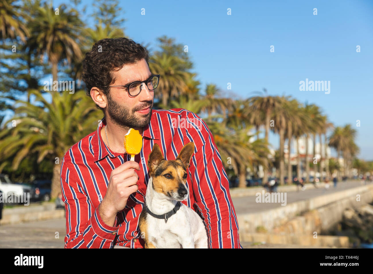 Giovane Uomo con cane mangia per lecca-lecca di ghiaccio Foto Stock