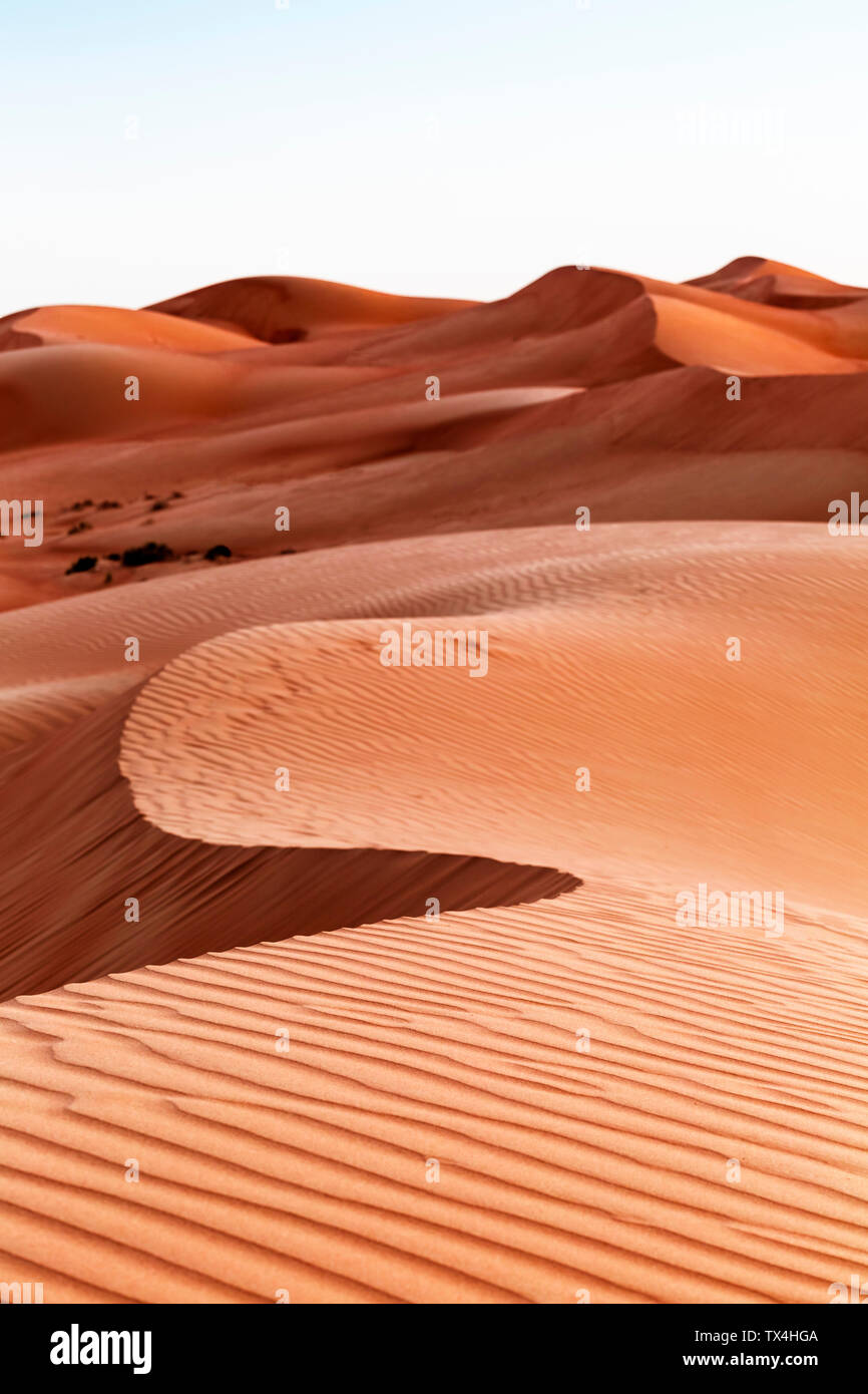 Il sultanato di Oman, Wahiba Sands, dune nel deserto Foto Stock