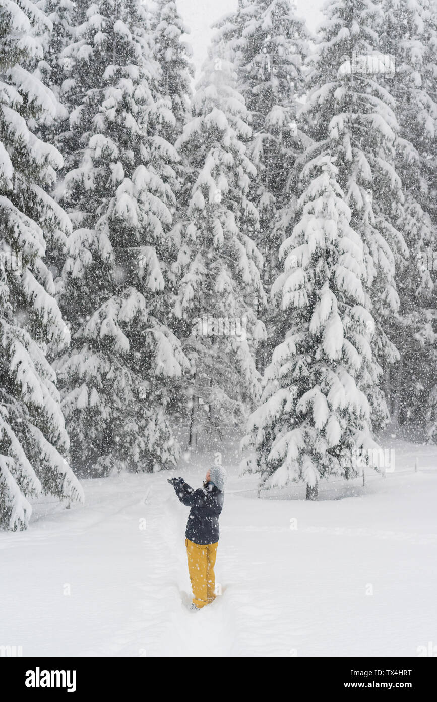 Finlandia, Kuopio, donna la cattura di fiocchi di neve in inverno forest Foto Stock