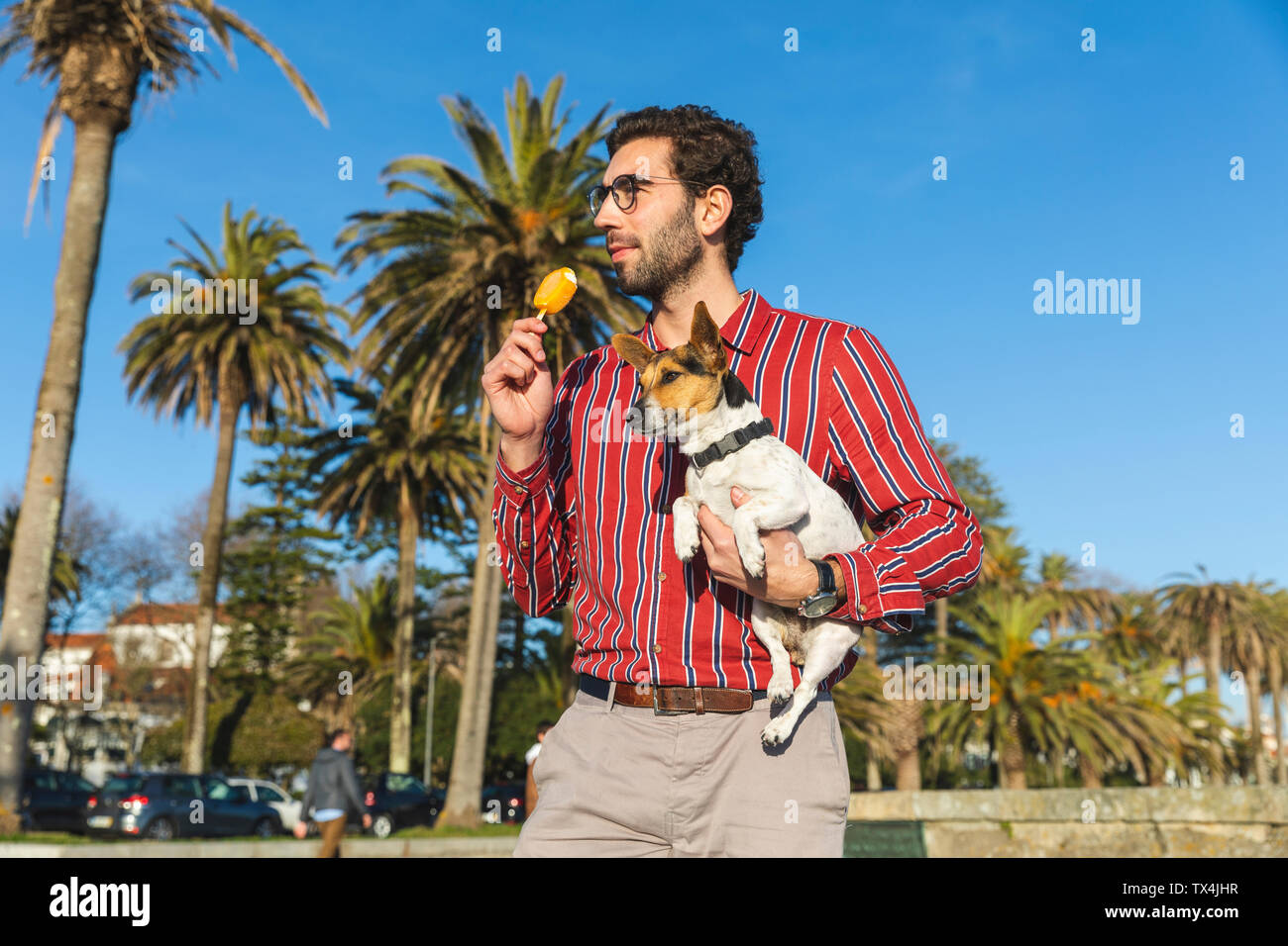 Giovane Uomo con cane sul suo braccio di mangiare per lecca-lecca di ghiaccio Foto Stock