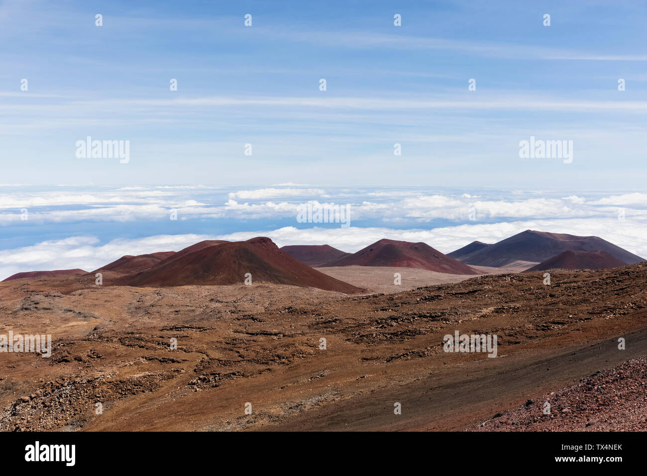 Stati Uniti d'America, Hawaii, Mauna Kea vulcano, vista sul paesaggio vulcanico e coni vulcanici Foto Stock