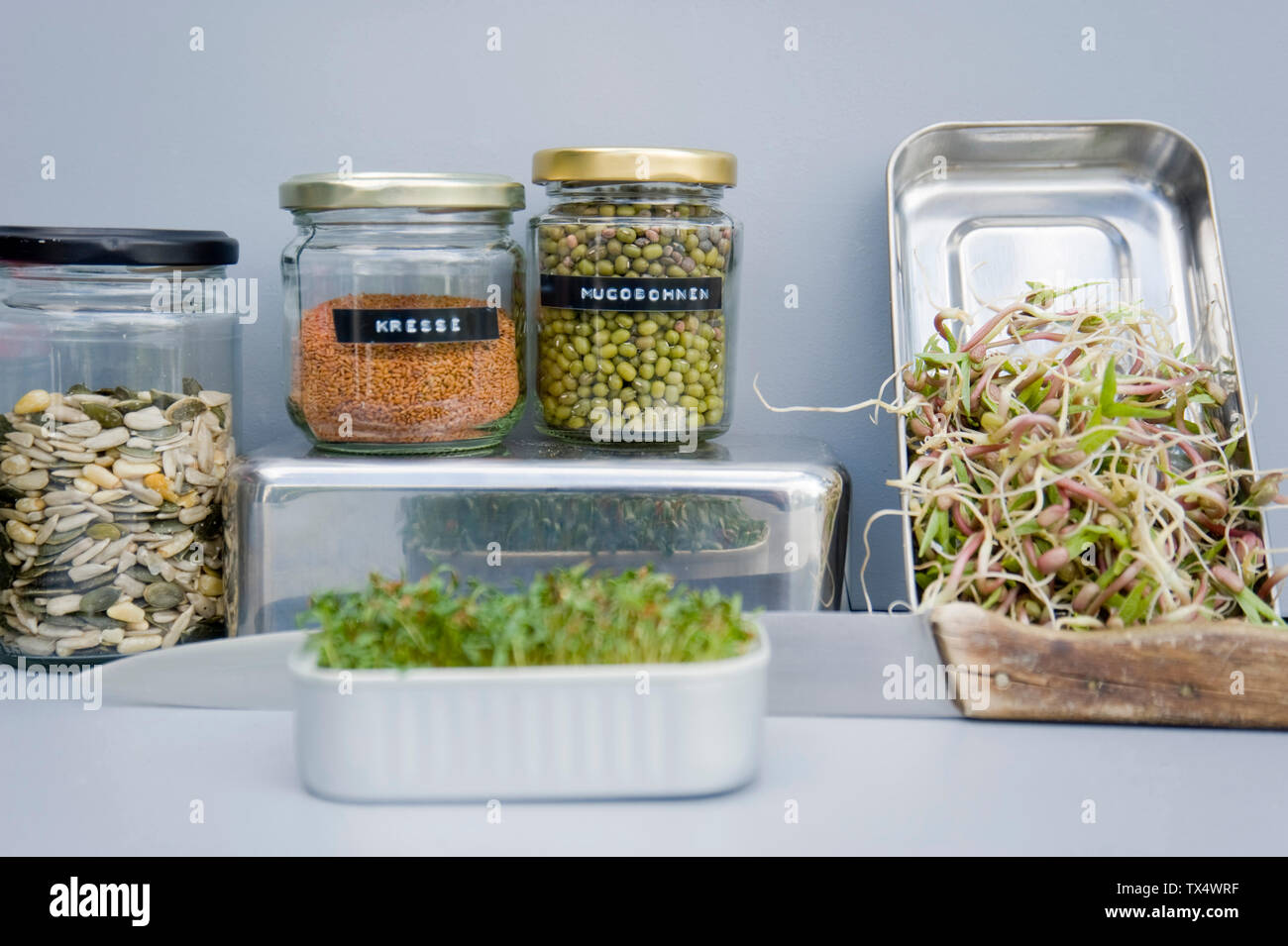 Barattoli per conserve con grano, mung e germogli di crescione, cresciuto in casa i germogli Foto Stock