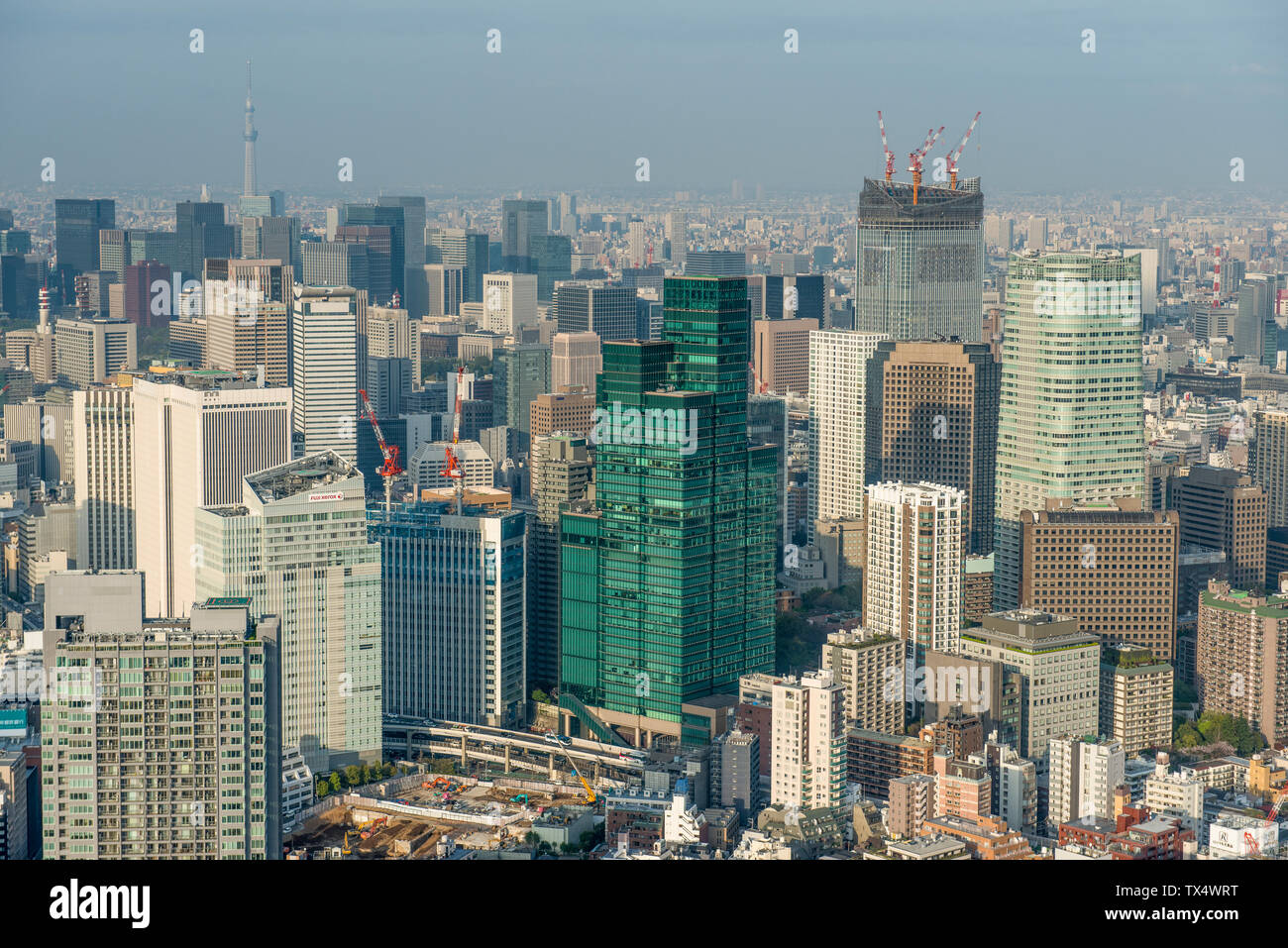 Giappone, Tokyo cityscape visto da Roppongi Hills Foto Stock