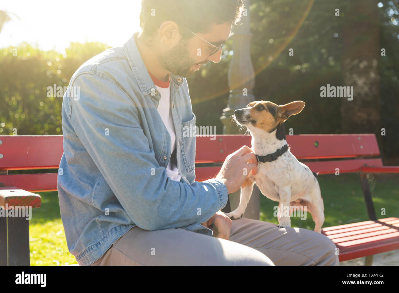 Giovane uomo seduto su una panchina nel parco solletico il suo cane Foto Stock